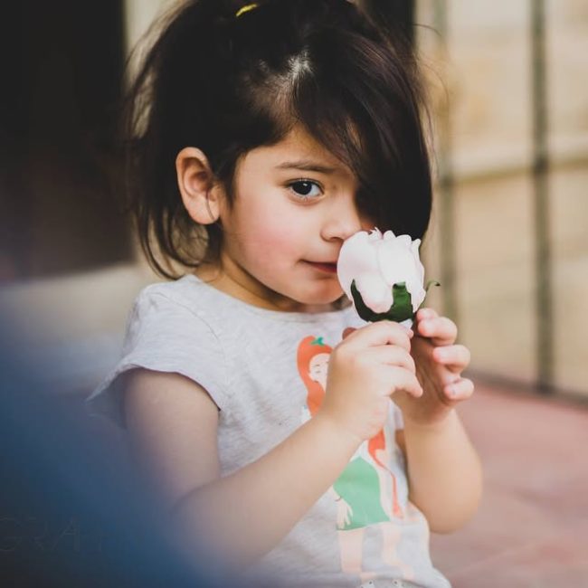 Little girl playing with flower petalsLittle girl playing with flower petalsLittle girl playing with flower petalsLittle girl playing with flower petalsLittle girl playing with flower petalsLittle girl playing with flower petals