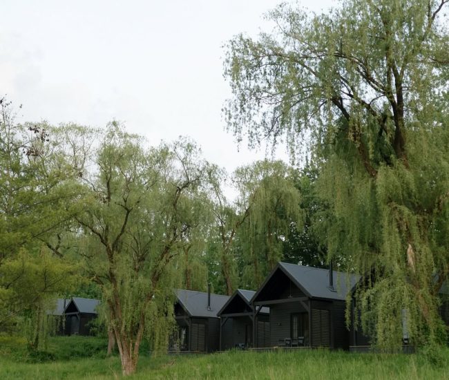 Botanical garden setting captured during a Fatography pre wedding photography session.